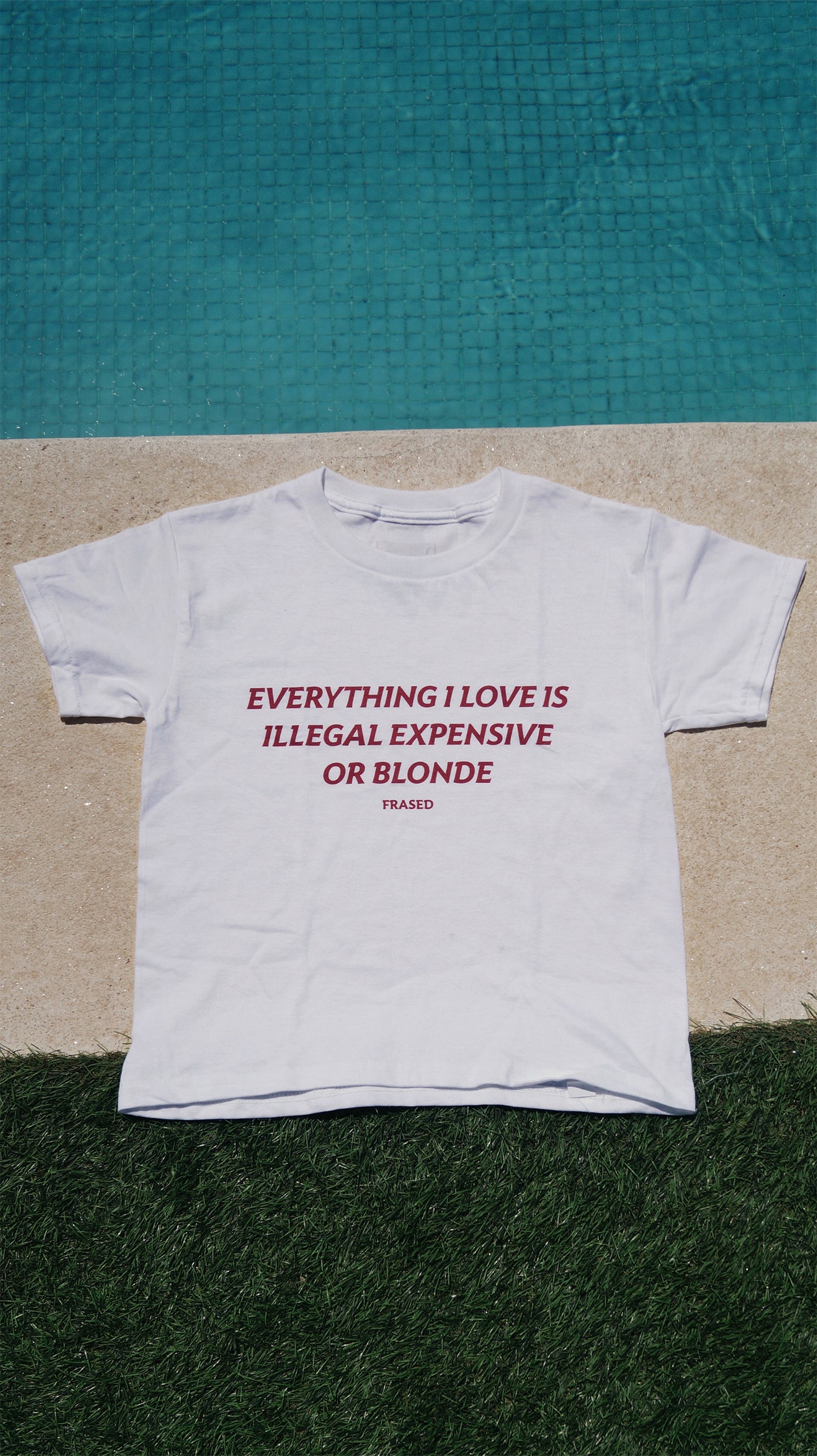 EVERYTHING I LOVE IS ILLEGAL, EXPENSIVE OR BLONDE - BABY TEE