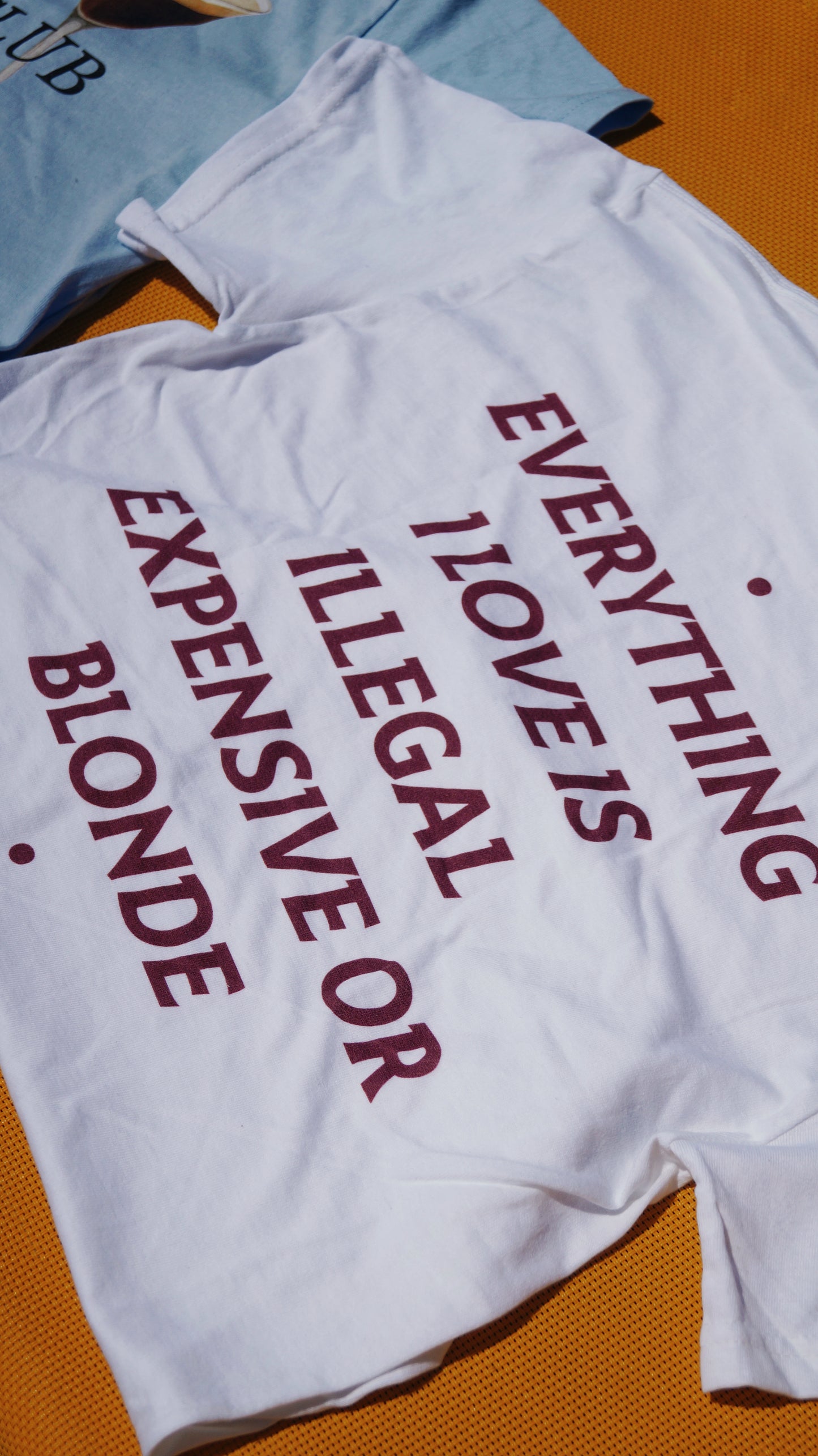 EVERYTHING I LOVE IS ILLEGAL, EXPENSIVE OR BLONDE