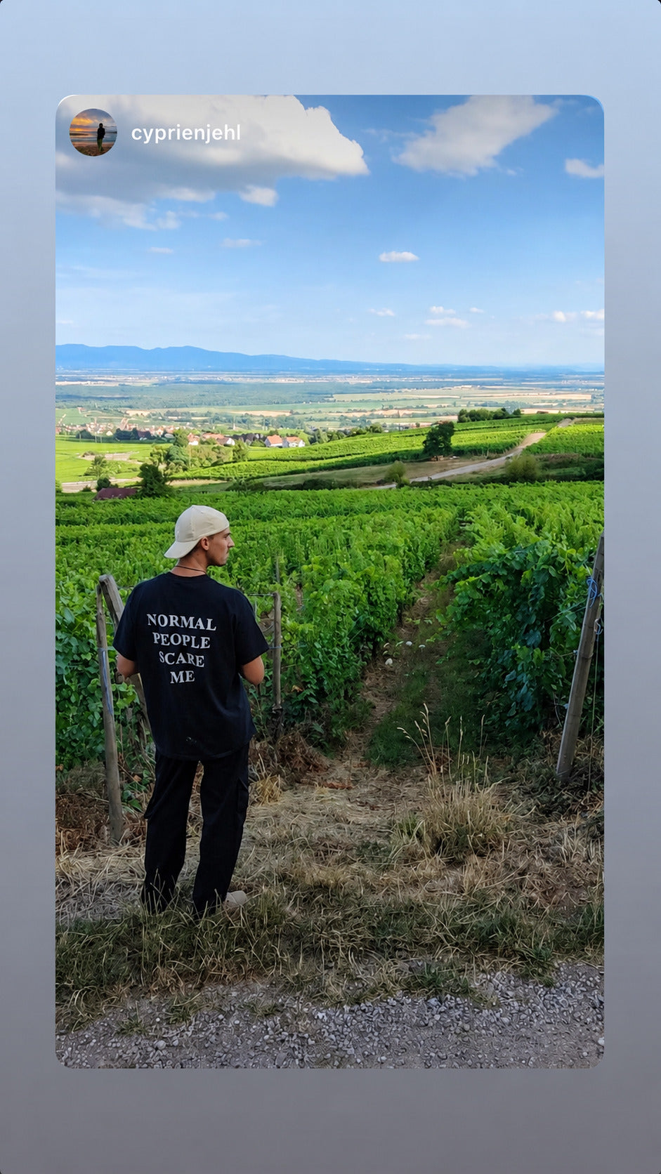 Mand i sort NORMAL PEOPLE SCARE ME T-shirt står mellem vinmarker med udsigt over landskabet.