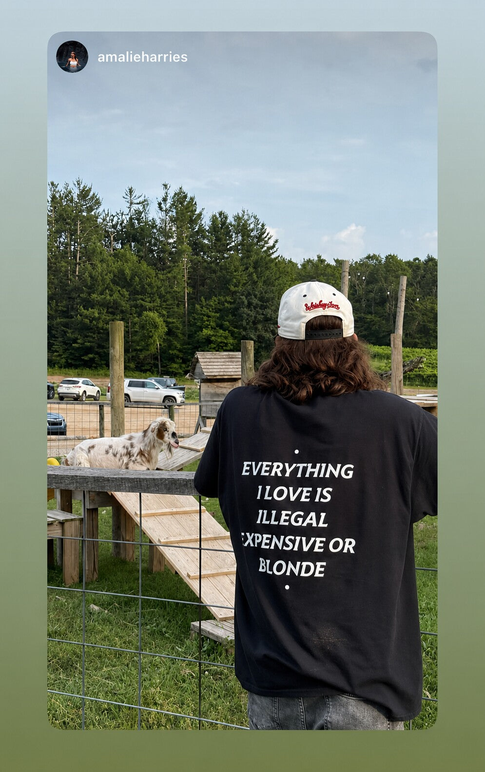 Person with a dog beside a fence wearing a black “EVERYTHING I LOVE IS ILLEGAL EXPENSIVE OR BLONDE” T-shirt.
