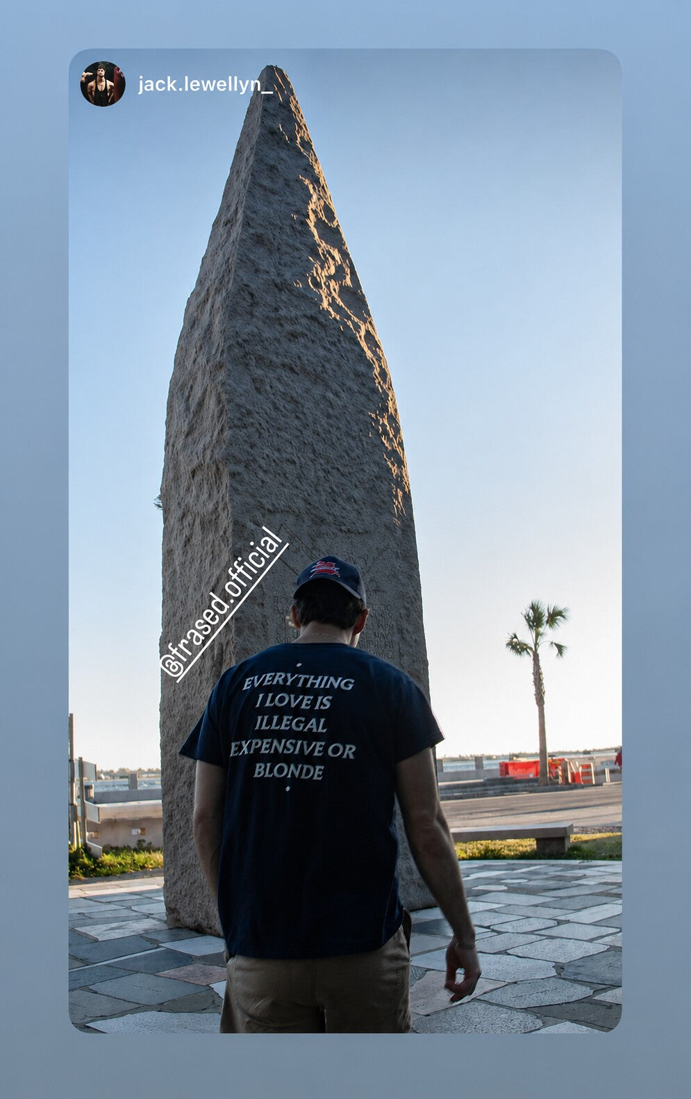 Man beside a stone sculpture in a dark “EVERYTHING I LOVE IS ILLEGAL EXPENSIVE OR BLONDE” T-shirt.