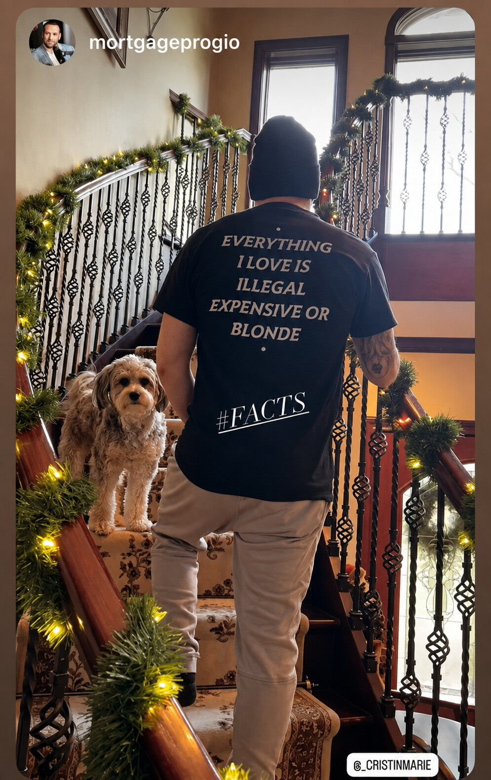 Man on stairs with a dog wearing a black “EVERYTHING I LOVE IS ILLEGAL EXPENSIVE OR BLONDE” T-shirt.