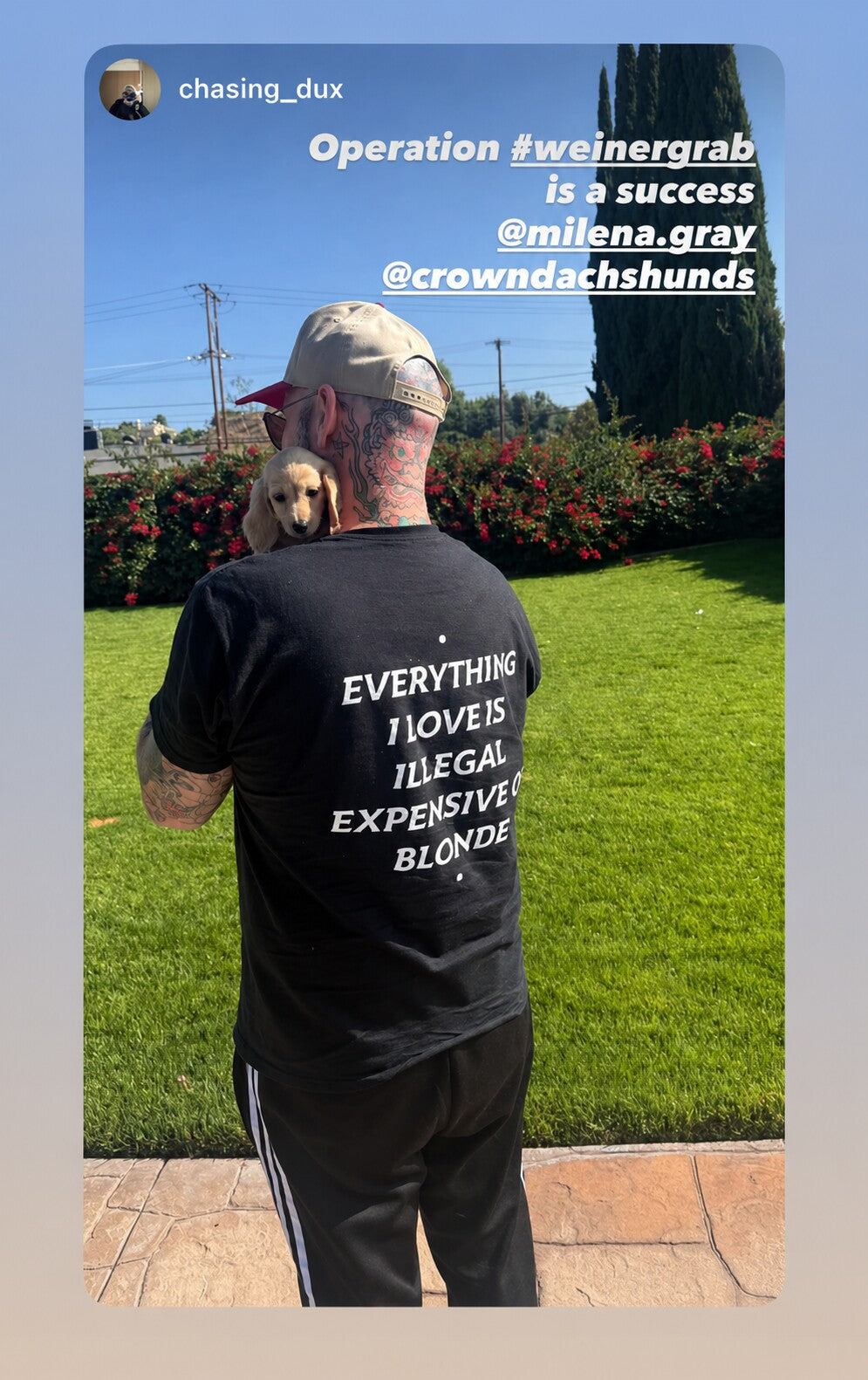 Man holding a puppy in a black “EVERYTHING I LOVE IS ILLEGAL EXPENSIVE OR BLONDE” T-shirt.